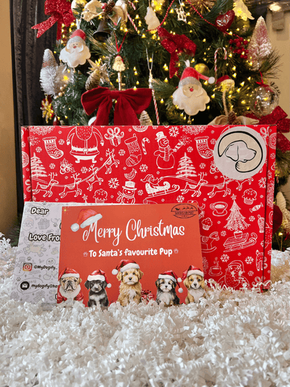 Empty Christmas Dog Hamper Box