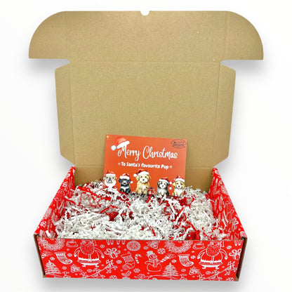 Empty Christmas Dog Hamper Box