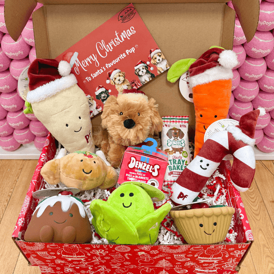 Festive Feast Dog Hamper