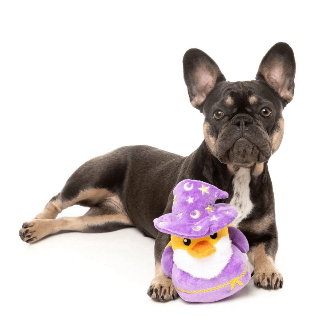 Sirius Quack Toy