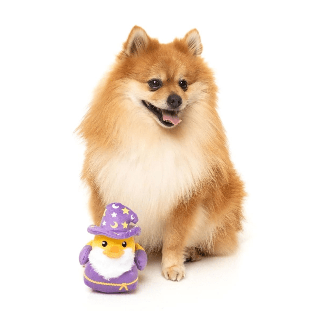 Sirius Quack Toy