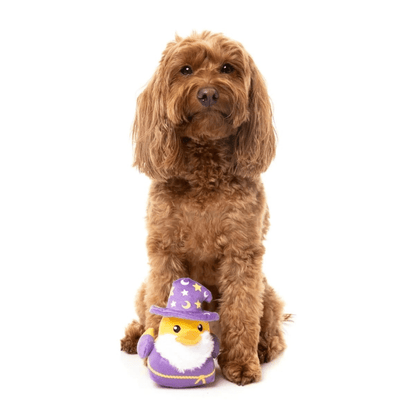 Sirius Quack Toy