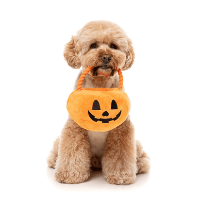 Trick or Treat Pumpkin Basket Toy