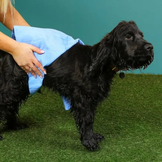 Just Chillin' Cooling Towel for Dogs - 40 x 30cm