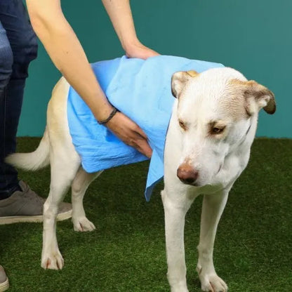 Just Chillin' Cooling Towel for Dogs - 40 x 30cm