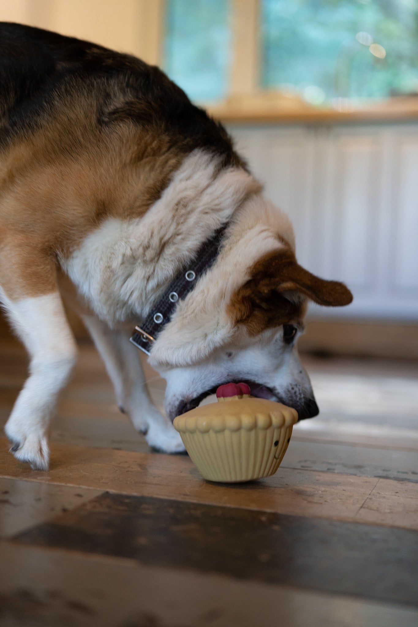 misha mince pie latex dog toy