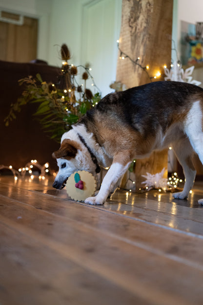 misha mince pie latex dog toy