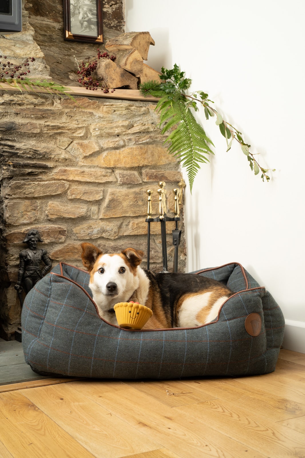 misha mince pie latex dog toy