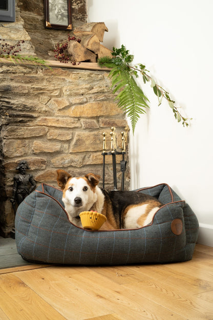 misha mince pie latex dog toy