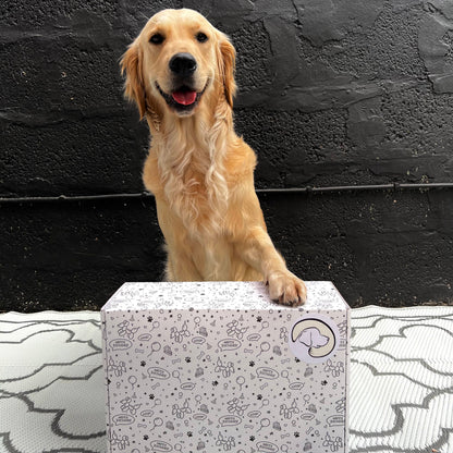 MyDogify Birthday Hamper