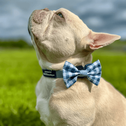 Pawsome Paws Boutique x Disney Bow Tie - Bambi + Friends Blue Gingham