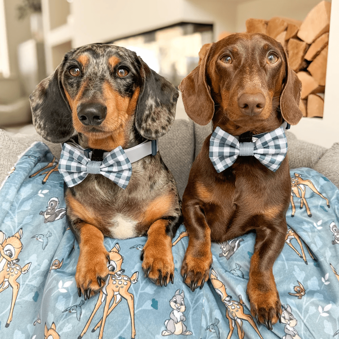 Pawsome Paws Boutique x Disney Bow Tie - Bambi + Friends Blue Gingham