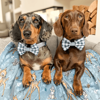 Pawsome Paws Boutique x Disney Bow Tie - Bambi + Friends Blue Gingham