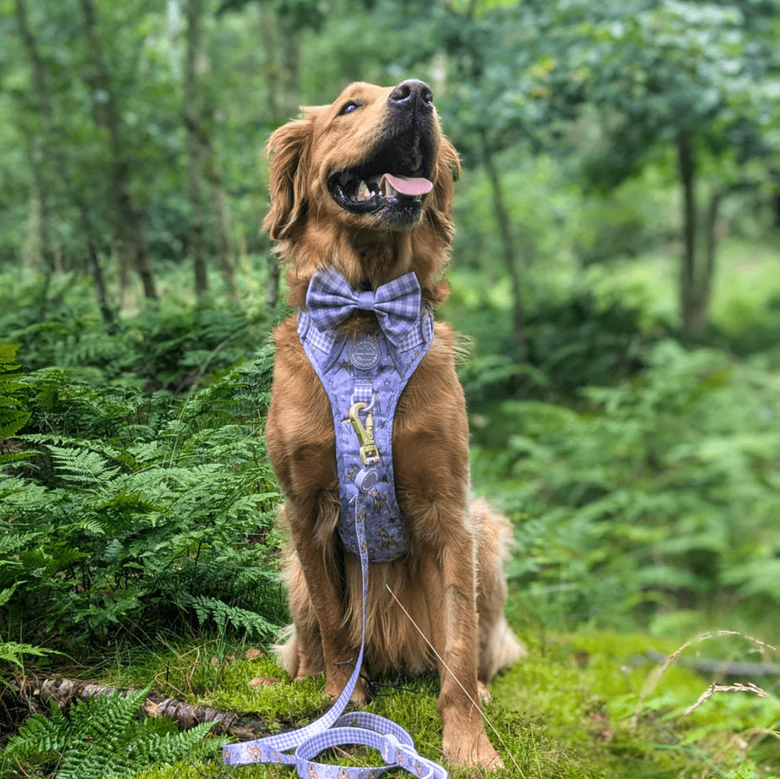 Pawsome Paws Boutique x Disney Bow Tie - Bambi + Friends Lilac Gingham