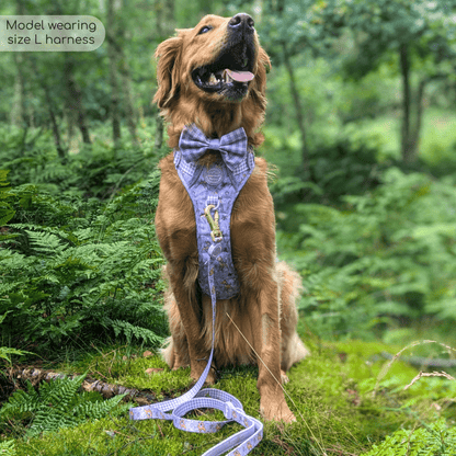 Pawsome Paws Boutique x Disney Tough Trails Harness - Bambi + Friends Lilac