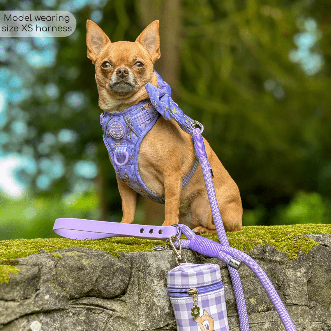Pawsome Paws Boutique x Disney Tough Trails Harness - Bambi + Friends Lilac
