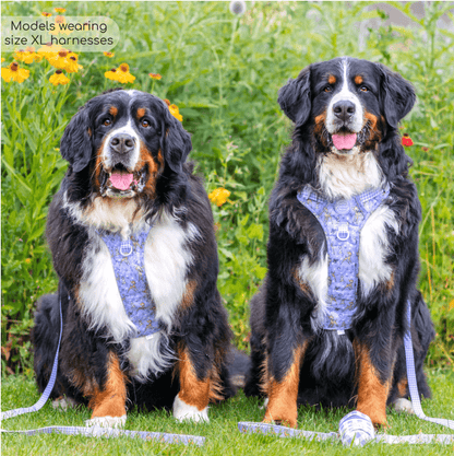 Pawsome Paws Boutique x Disney Tough Trails Harness - Bambi + Friends Lilac