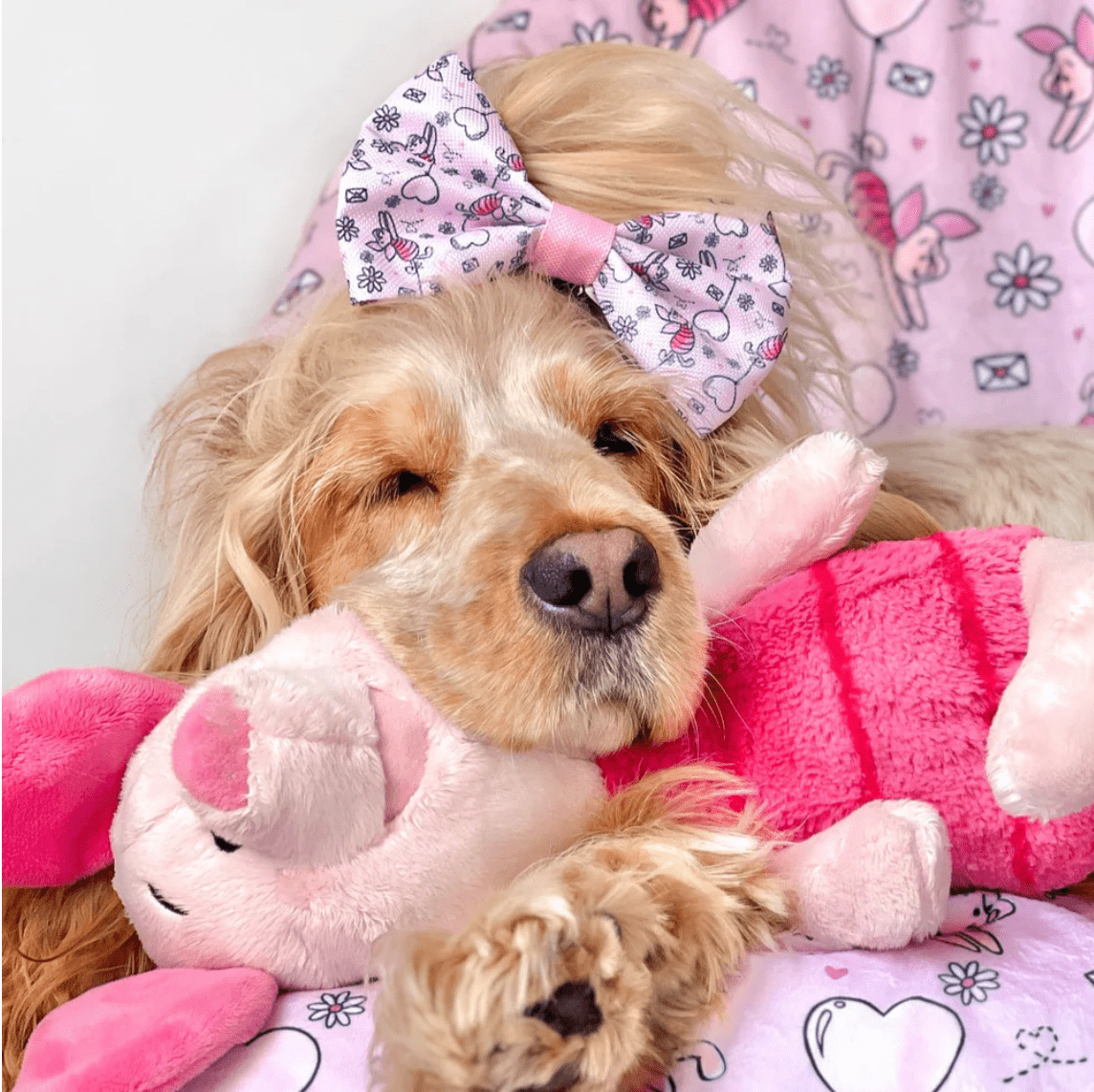 Pawsome Paws Boutique x Disney Bow Tie - Piglet