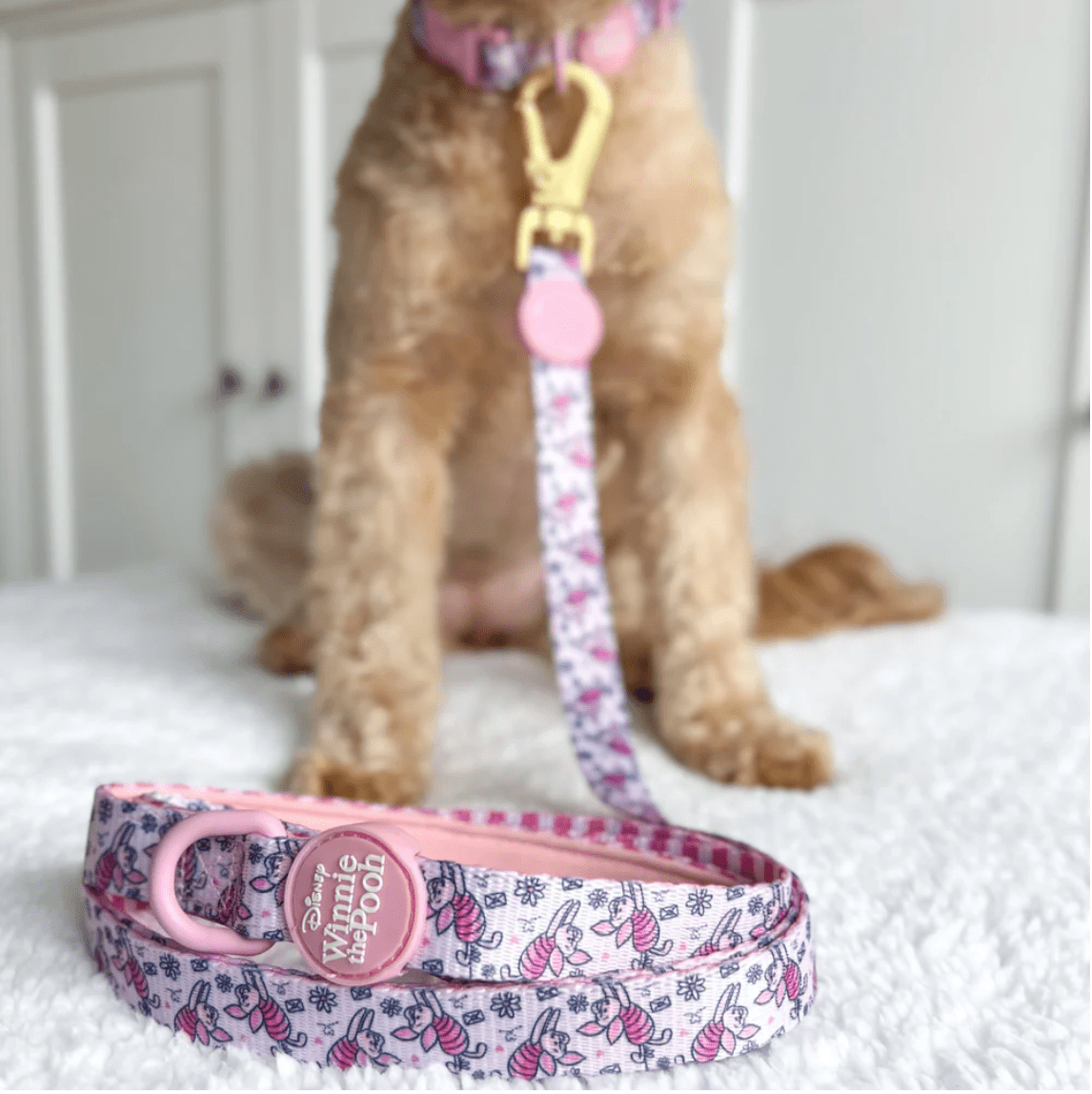 Pawsome Paws Boutique x Disney Lead - Piglet