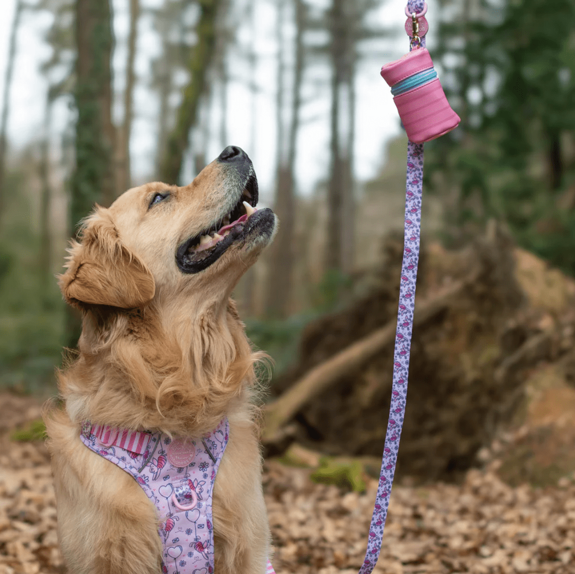 Pawsome Paws Boutique x Disney Lead - Piglet