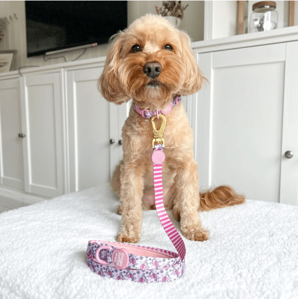 Pawsome Paws Boutique x Disney Lead - Piglet