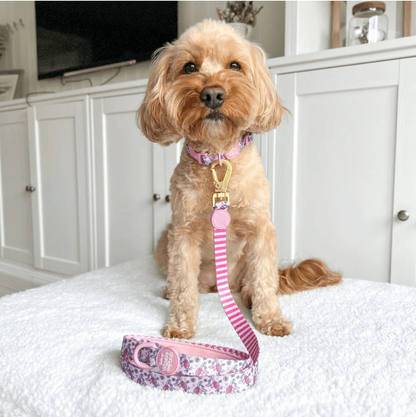 Pawsome Paws Boutique x Disney Lead - Piglet