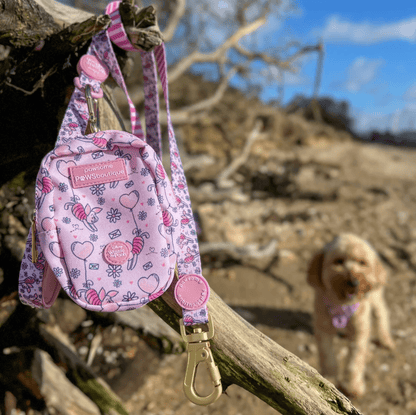 Pawsome Paws Boutique x Disney Treat Bag - Piglet