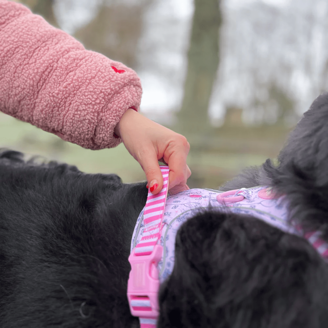 Pawsome Paws Boutique x Disney Tough Trails Harness - Piglet