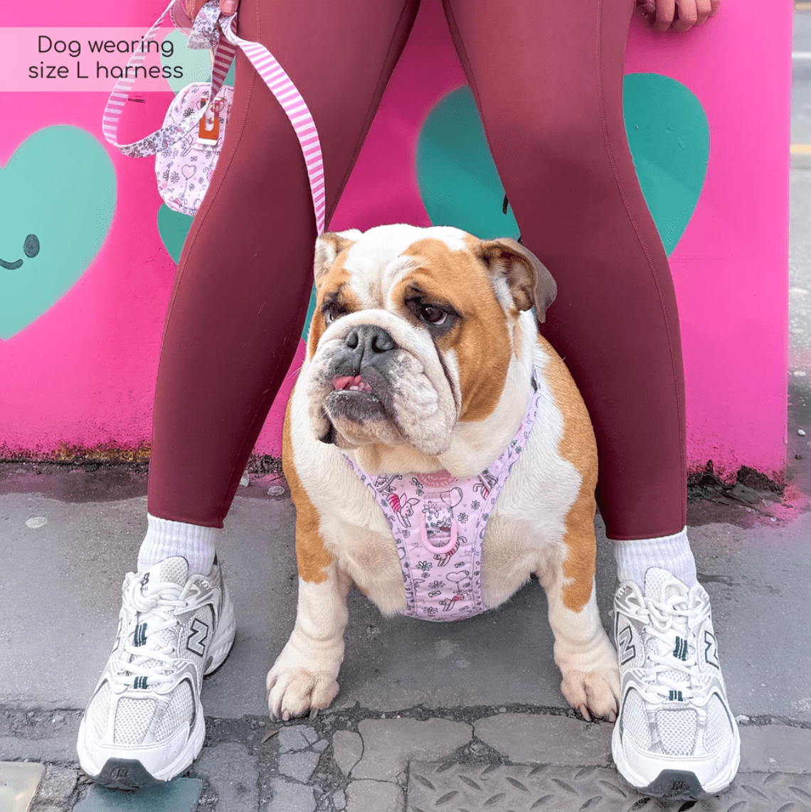 Pawsome Paws Boutique x Disney Tough Trails Harness - Piglet