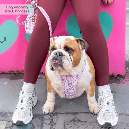 Pawsome Paws Boutique x Disney Tough Trails Harness - Piglet