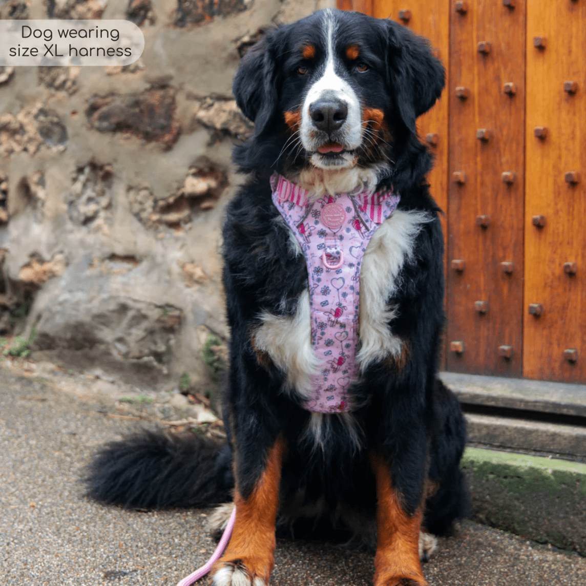 Pawsome Paws Boutique x Disney Tough Trails Harness - Piglet