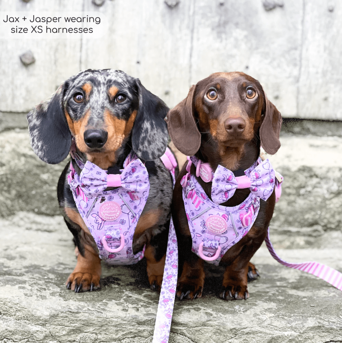 Pawsome Paws Boutique x Disney Tough Trails Harness - Piglet