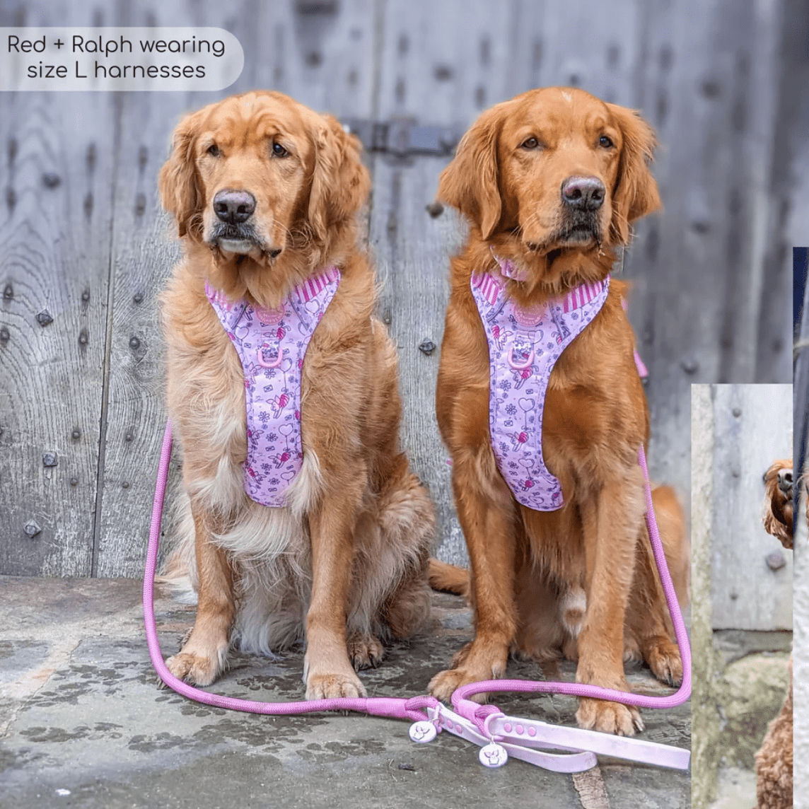 Pawsome Paws Boutique x Disney Tough Trails Harness - Piglet