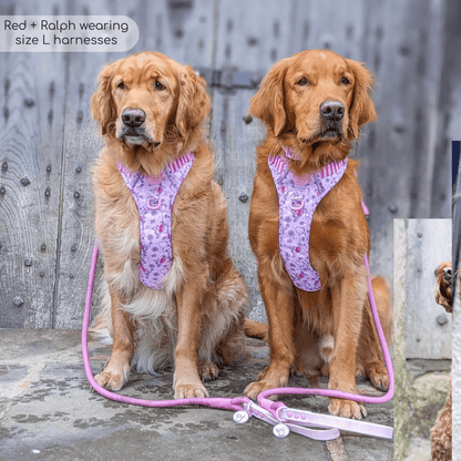 Pawsome Paws Boutique x Disney Tough Trails Harness - Piglet