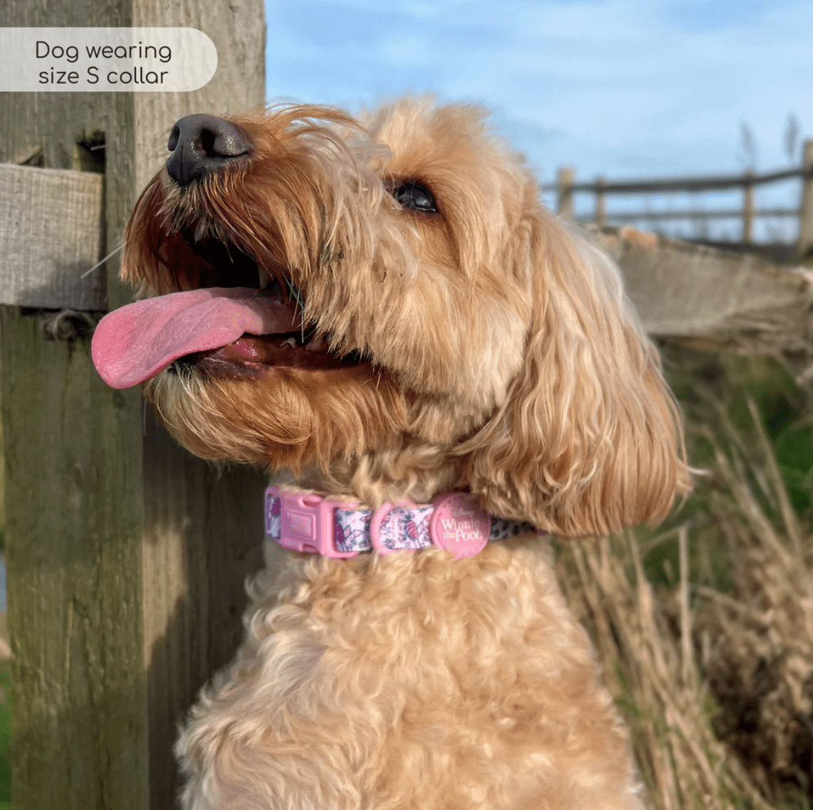 Pawsome Paws Boutique x Disney Collar - Piglet