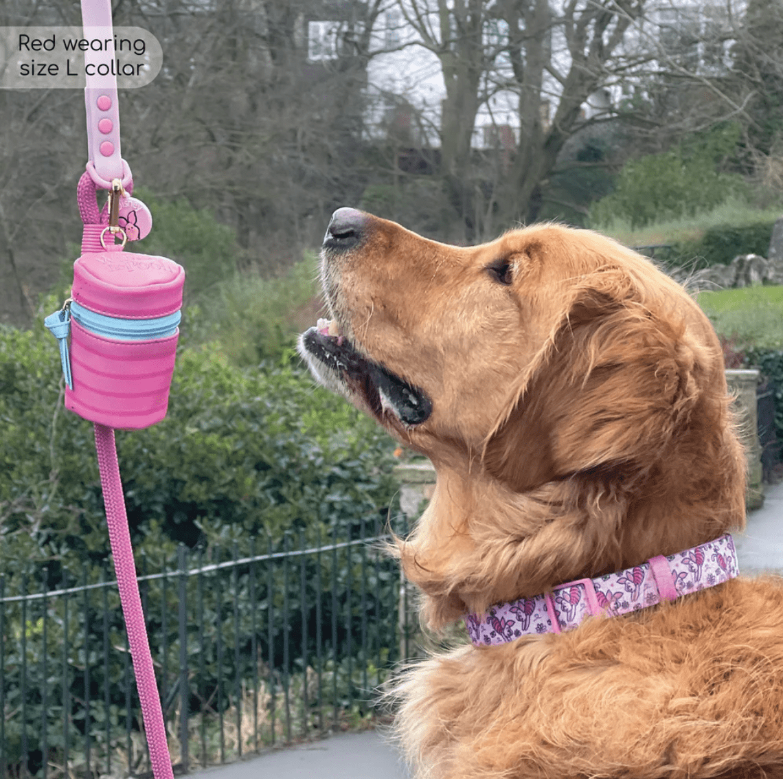 Pawsome Paws Boutique x Disney Collar - Piglet