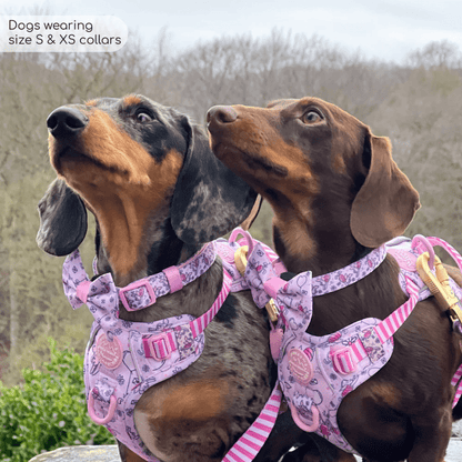 Pawsome Paws Boutique x Disney Collar - Piglet
