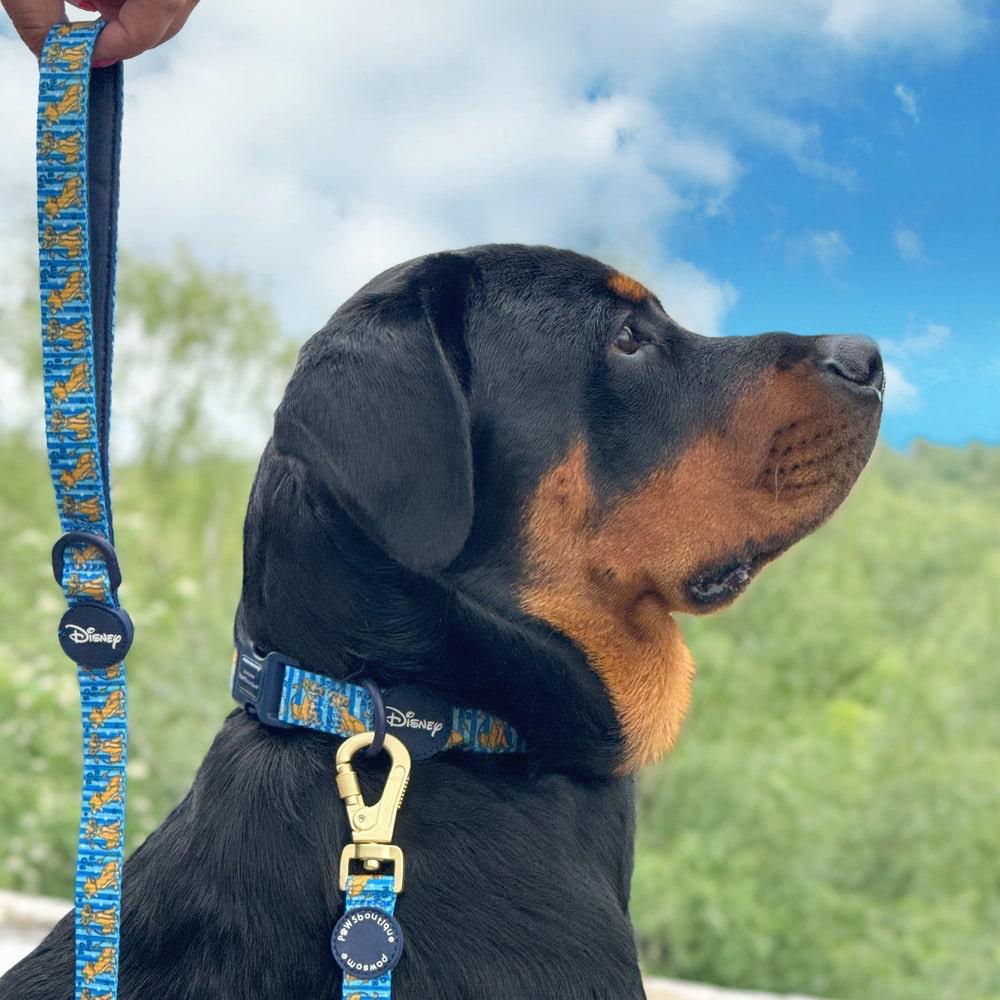 Pawsome Paws Boutique x Disney Simba Lead MyDogify