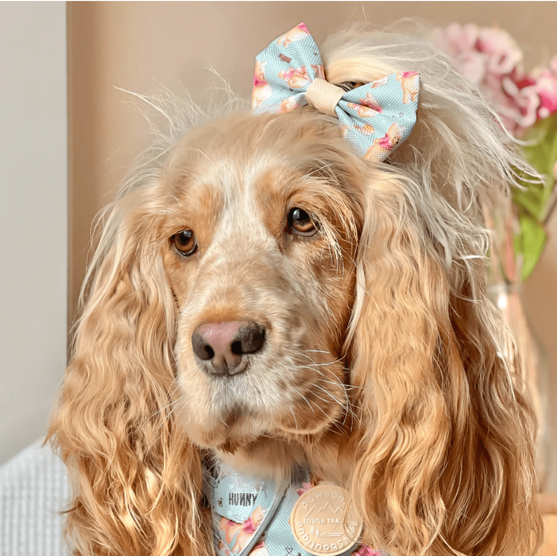 Pawsome Paws Boutique x Disney Bow Tie - Winnie The Pooh