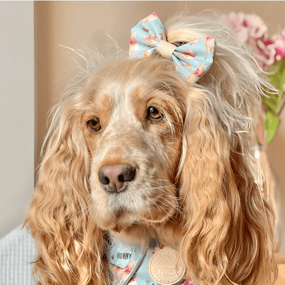 Pawsome Paws Boutique x Disney Bow Tie - Winnie The Pooh