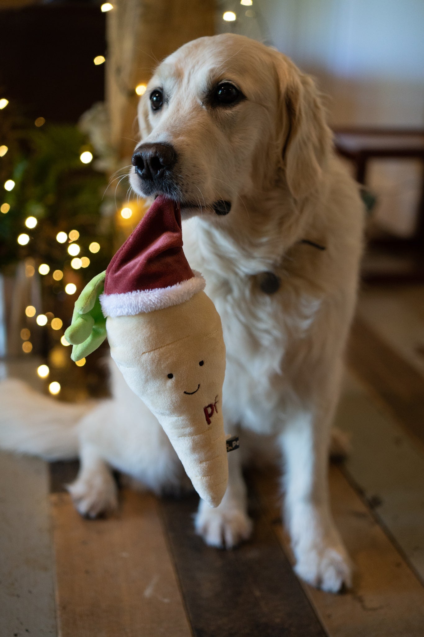 peter parsnip plush dog toy