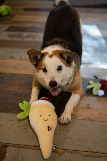 peter parsnip plush dog toy