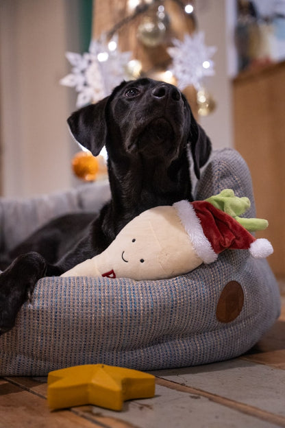 peter parsnip plush dog toy