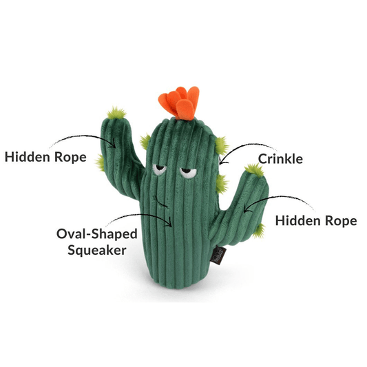 Prickly Pup Cactus, Blooming Buddies Toy