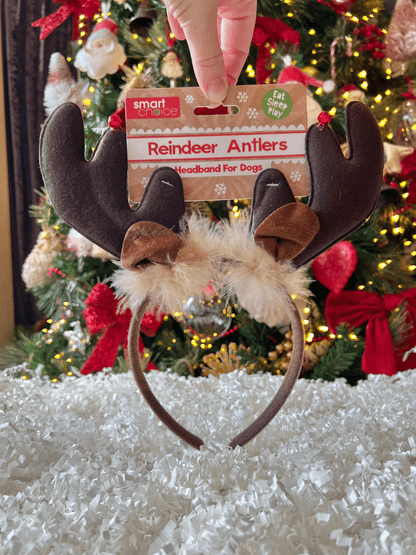 reindeer antler headband for dogs