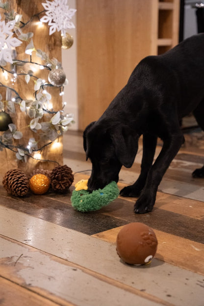 remy wreath tough plush dog toy