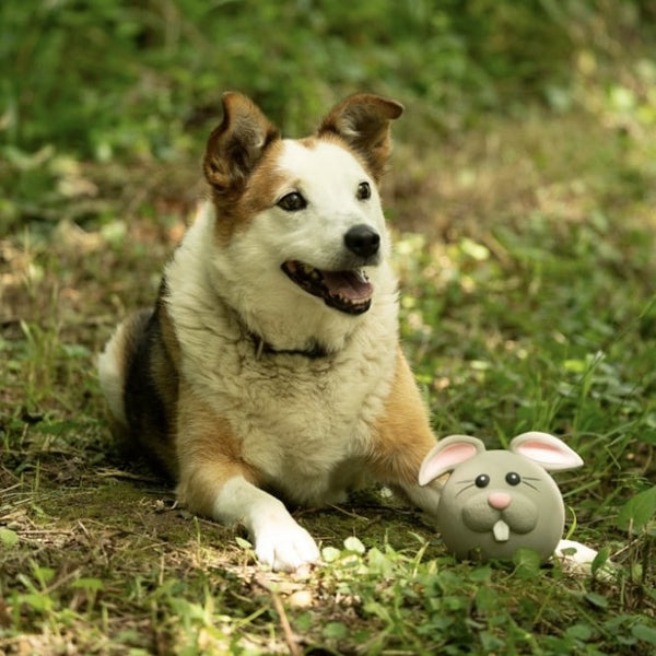 Rico Rabbit Latex Dog Toy - MyDogify