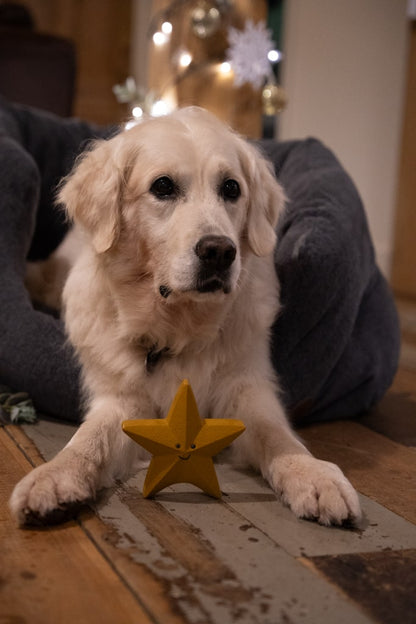 sadie star latex dog toy