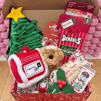Santa's Snuffle Box Dog Hamper