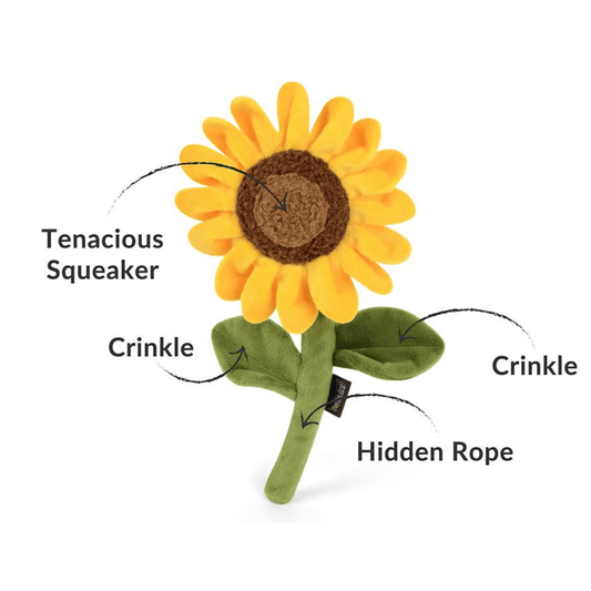 Sassy Sunflower, Blooming Buddies Toy